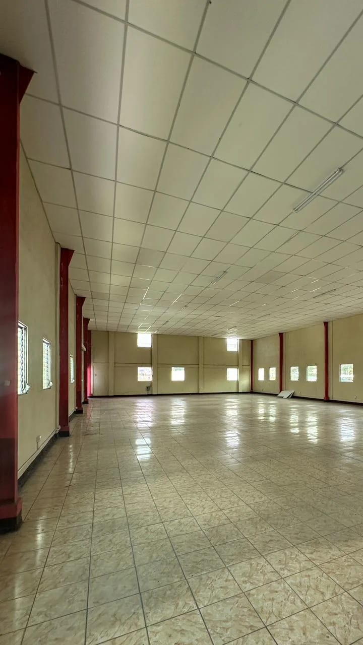 🏢 SE RENTAN EDIFICIOS EN ZONA 1 | CIUDAD DE GUATEMALA — Edificio en Alquiler en El Centro, Zona 1, Guatemala, Ciudad — foto 9 de 14