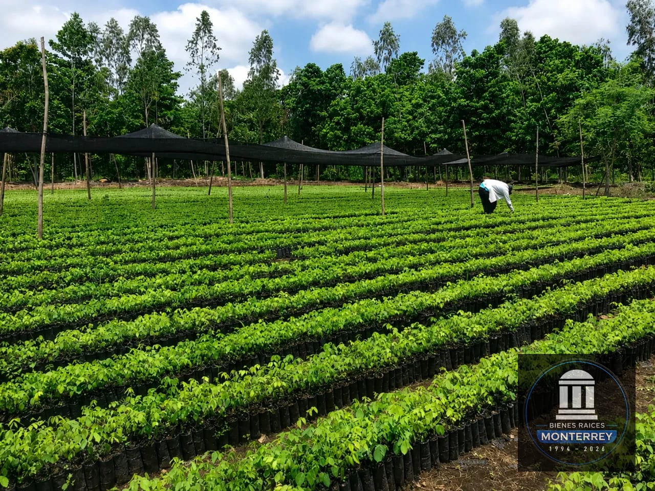 Finca Forestal Certificada en Venta | Escuintla Guatemala — Finca en Venta en Guanagazapa, Escuintla — foto 1 de 11