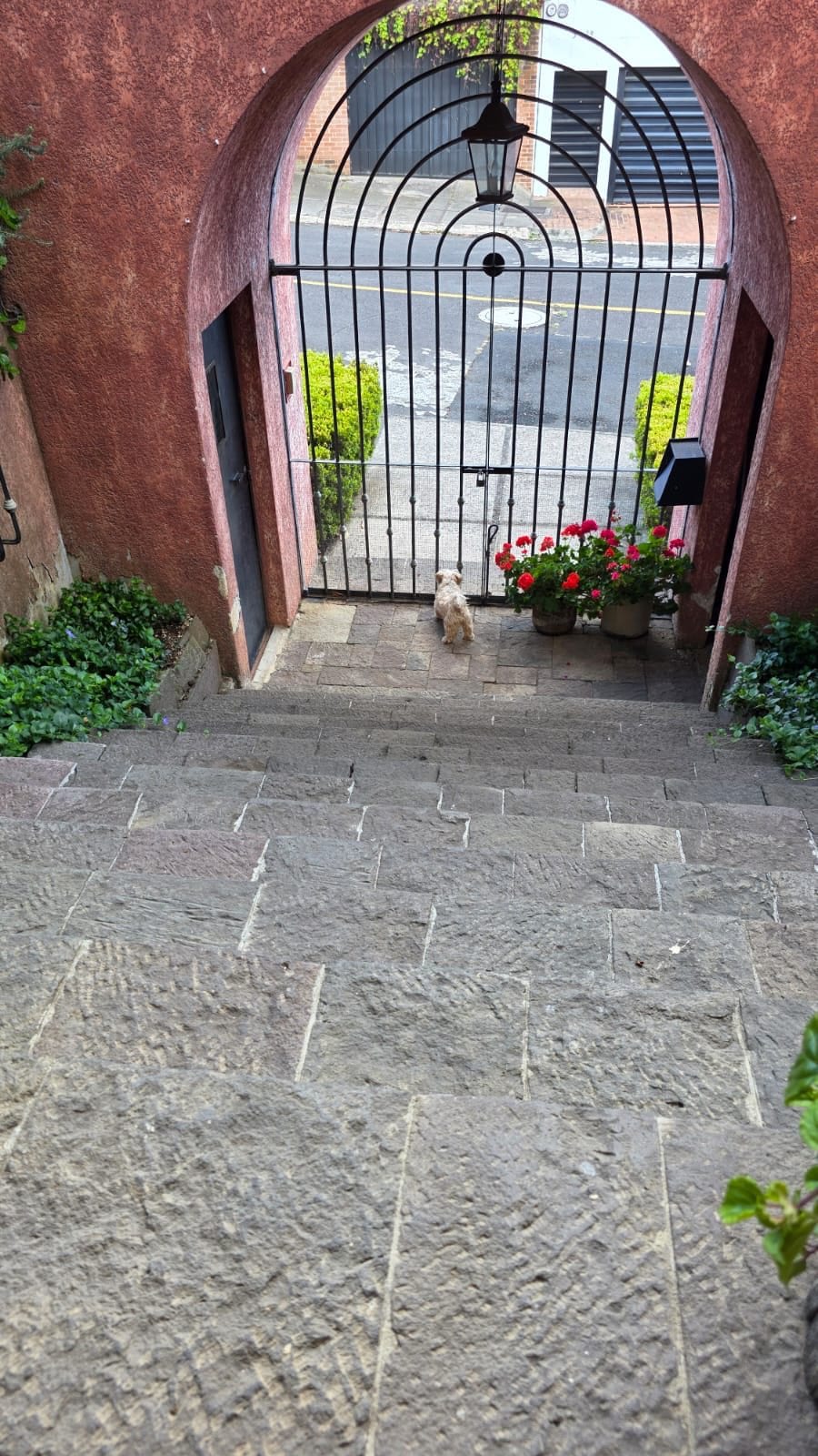 Casa en Venta en San Lazaro Zona 15 — Casa en Venta en San Lázaro, Zona 15, Guatemala, Ciudad — foto 6 de 7