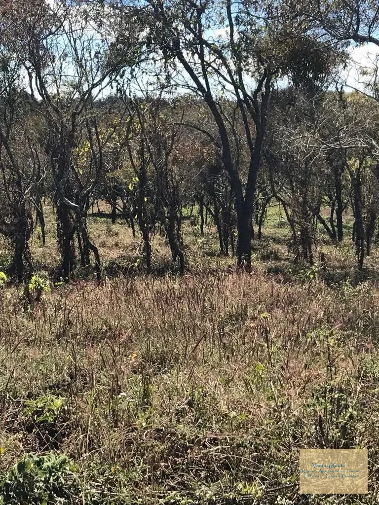 Amplio Terreno en Premier Campestre Km 22 CES — Terreno en Venta en Premier Campestre, Carretera a El Salvador, Guatemala, Ciudad — foto 2 de 11