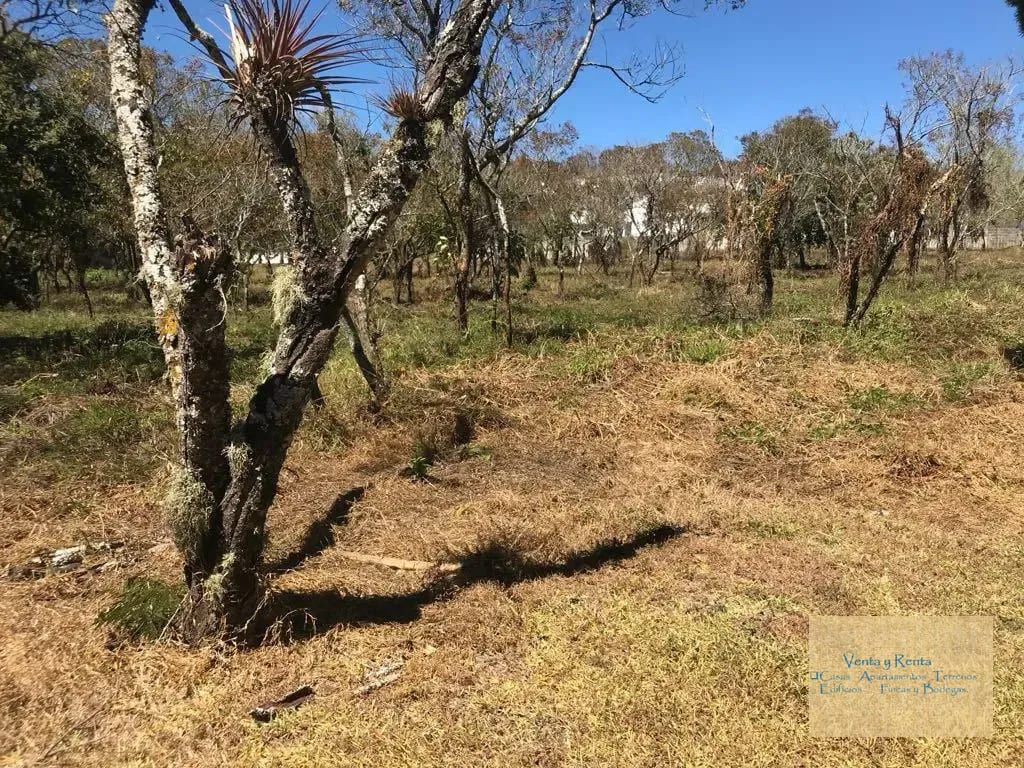 Amplio Terreno en Premier Campestre Km 22 CES — Terreno en Venta en Premier Campestre, Carretera a El Salvador, Guatemala, Ciudad — foto 3 de 11
