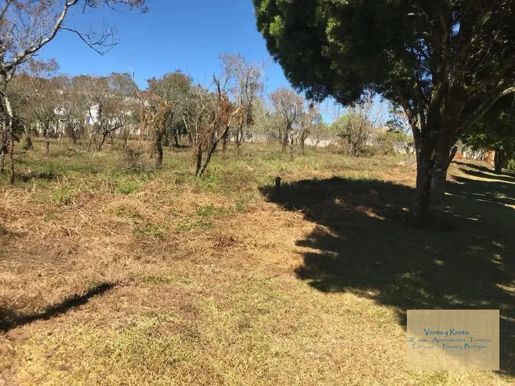 Amplio Terreno en Premier Campestre Km 22 CES — Terreno en Venta en Premier Campestre, Carretera a El Salvador, Guatemala, Ciudad — foto 4 de 11