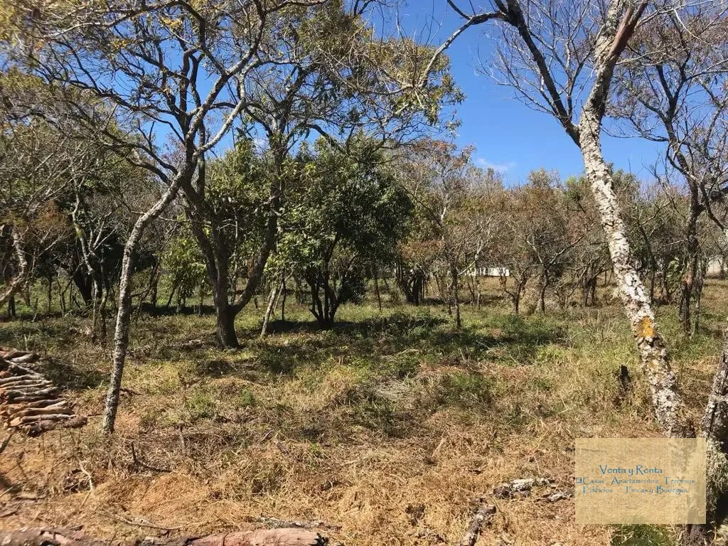 Amplio Terreno en Premier Campestre Km 22 CES — Terreno en Venta en Premier Campestre, Carretera a El Salvador, Guatemala, Ciudad — foto 5 de 11