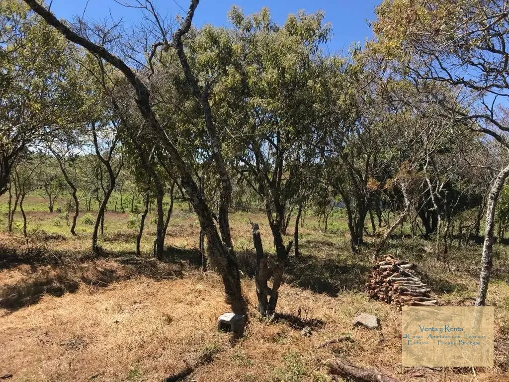 Amplio Terreno en Premier Campestre Km 22 CES — Terreno en Venta en Premier Campestre, Carretera a El Salvador, Guatemala, Ciudad — foto 6 de 11