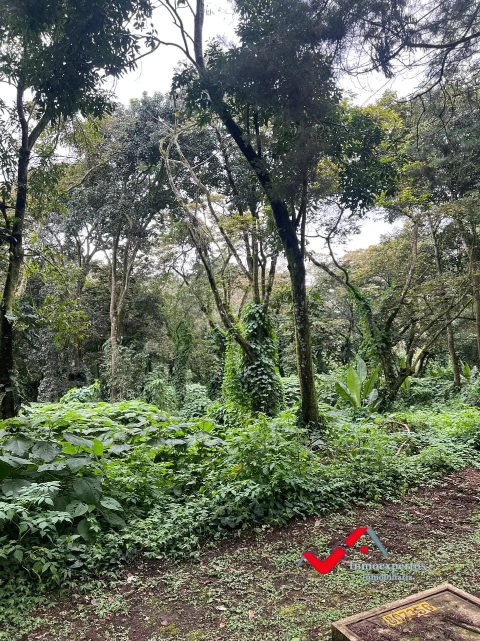 TERRENO EN VENTA, CARRETERA A EL SALVADOR | RESIDENCIAL PREMIER CAMPESTRE — Terreno en Venta en Premier Campestre, Carretera a El Salvador, Guatemala, Ciudad — foto 5 de 10