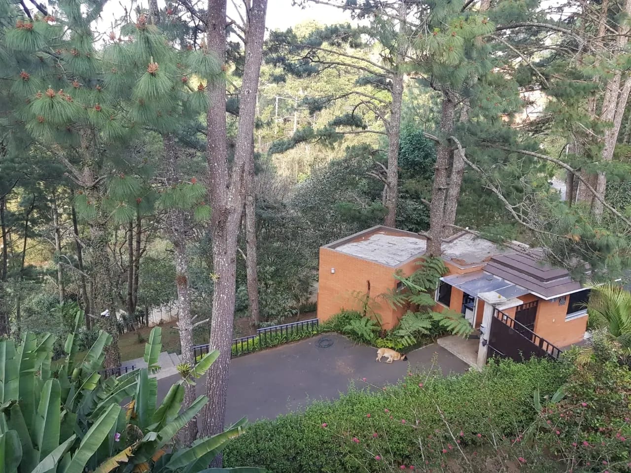 Casa en Venta, San Jorger Muxbal Residencial el Escalon — Casa en Venta en Muxbal, Guatemala, Ciudad — foto 5 de 17