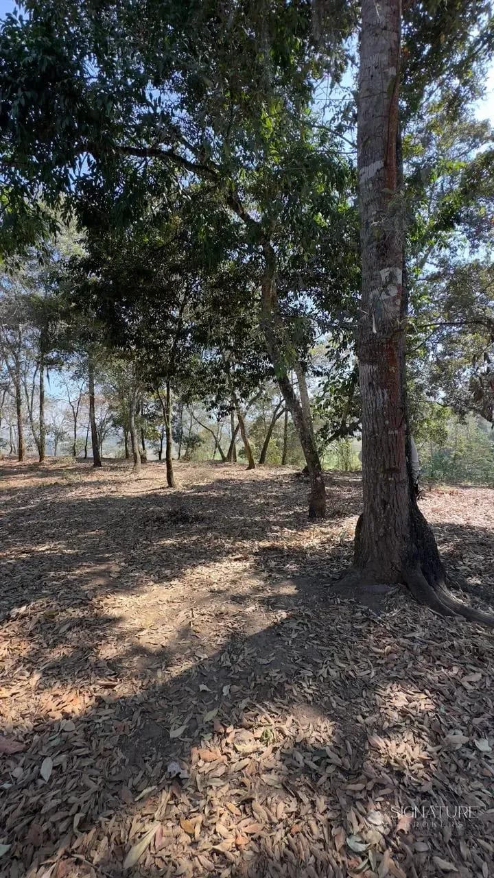 Terreno en Venta - El Pulté Golf — Terreno en Venta en El Pulté Golf, Zona 16, Guatemala, Ciudad — foto 1 de 10