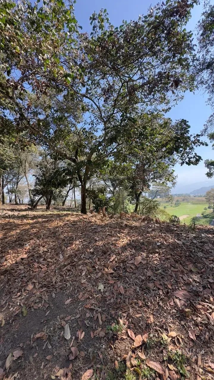 Terreno en Venta - El Pulté Golf — Terreno en Venta en El Pulté Golf, Zona 16, Guatemala, Ciudad — foto 5 de 10