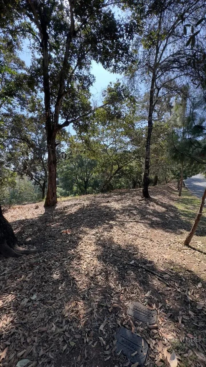 Terreno en Venta - El Pulté Golf — Terreno en Venta en El Pulté Golf, Zona 16, Guatemala, Ciudad — foto 6 de 10