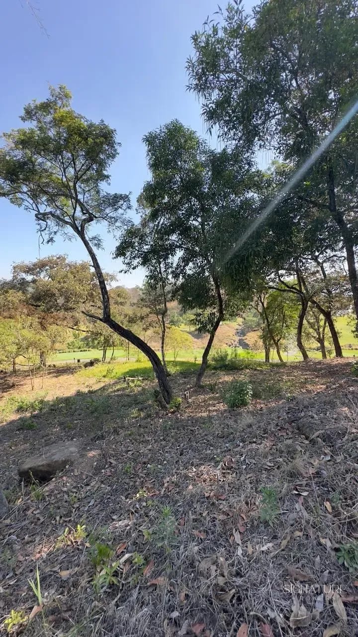 Terreno en Venta - El Pulté Golf — Terreno en Venta en El Pulté Golf, Zona 16, Guatemala, Ciudad — foto 9 de 10