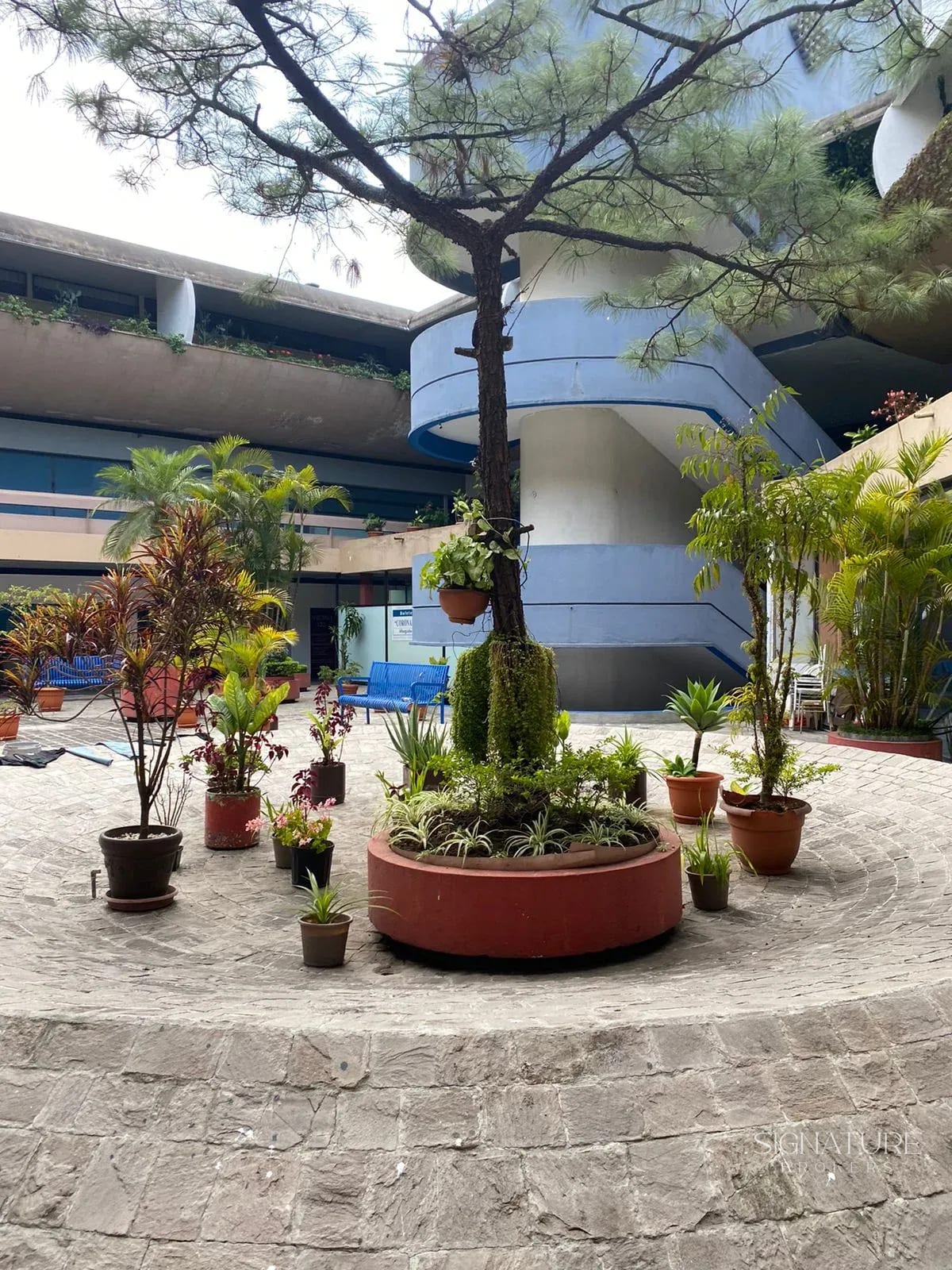 Alquiler – Edificio El Patio — Local en Alquiler en Zona 4, Guatemala, Ciudad — foto 2 de 5