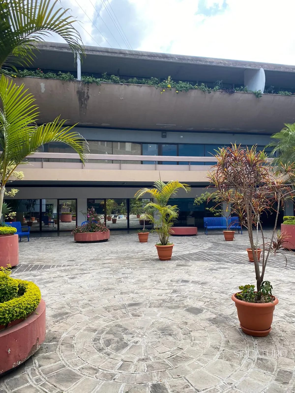 Alquiler – Edificio El Patio — Local en Alquiler en Zona 4, Guatemala, Ciudad — foto 1 de 5