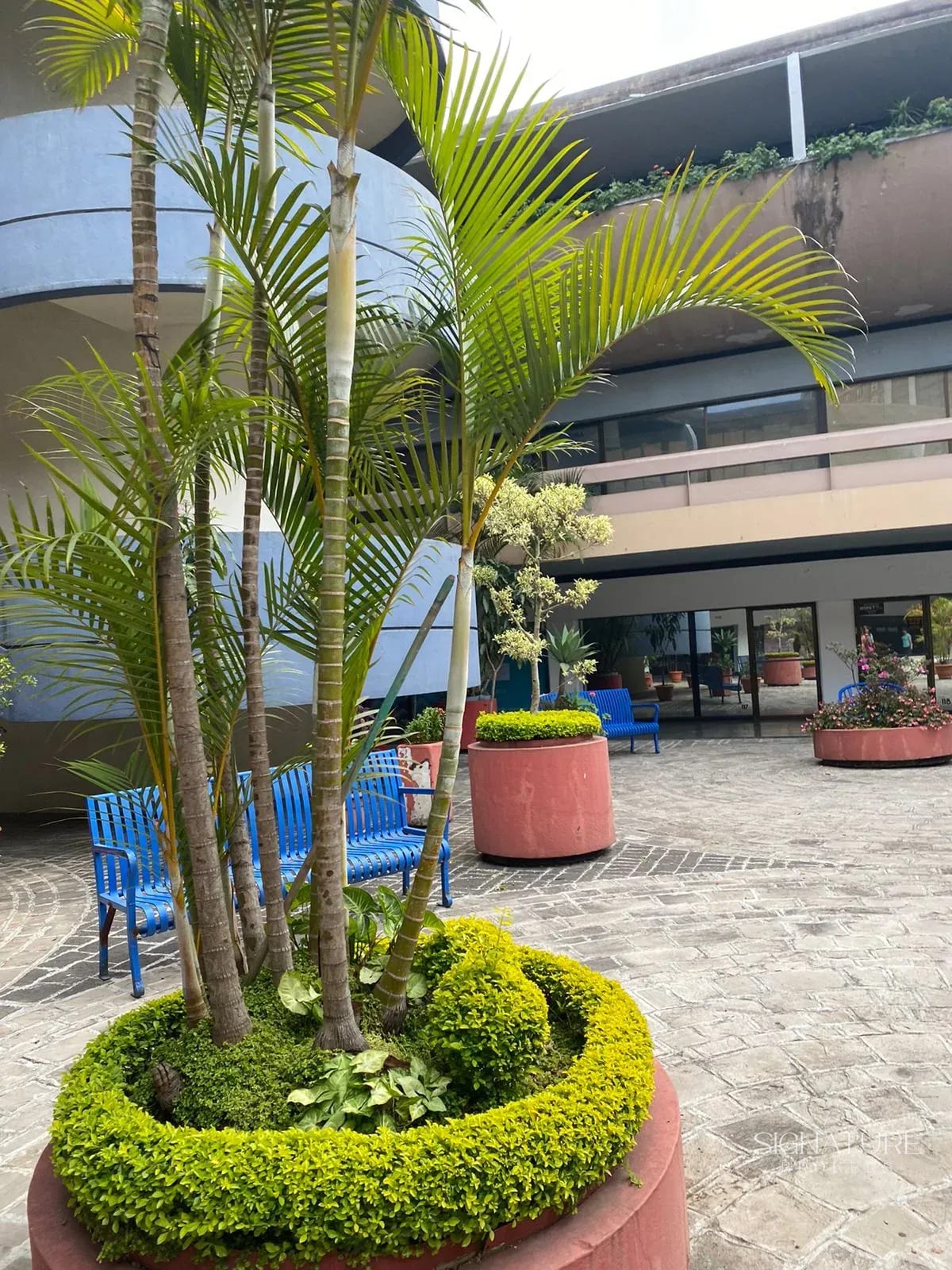 Alquiler – Edificio El Patio — Local en Alquiler en Zona 4, Guatemala, Ciudad — foto 4 de 5