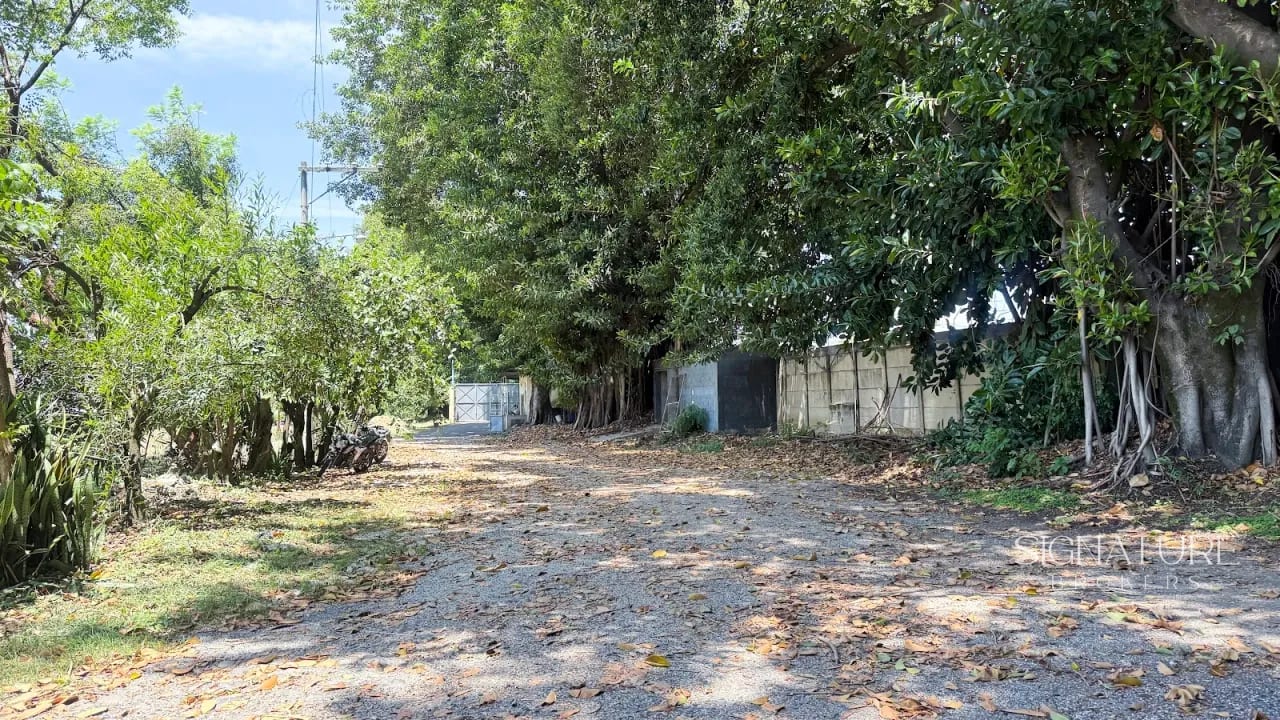 Bodega en Renta – Zona 5, Villa Nueva (a minutos de la VAS) — Bodega / Ofibodega en Alquiler en Villa Nueva, Guatemala, Ciudad — foto 9 de 10