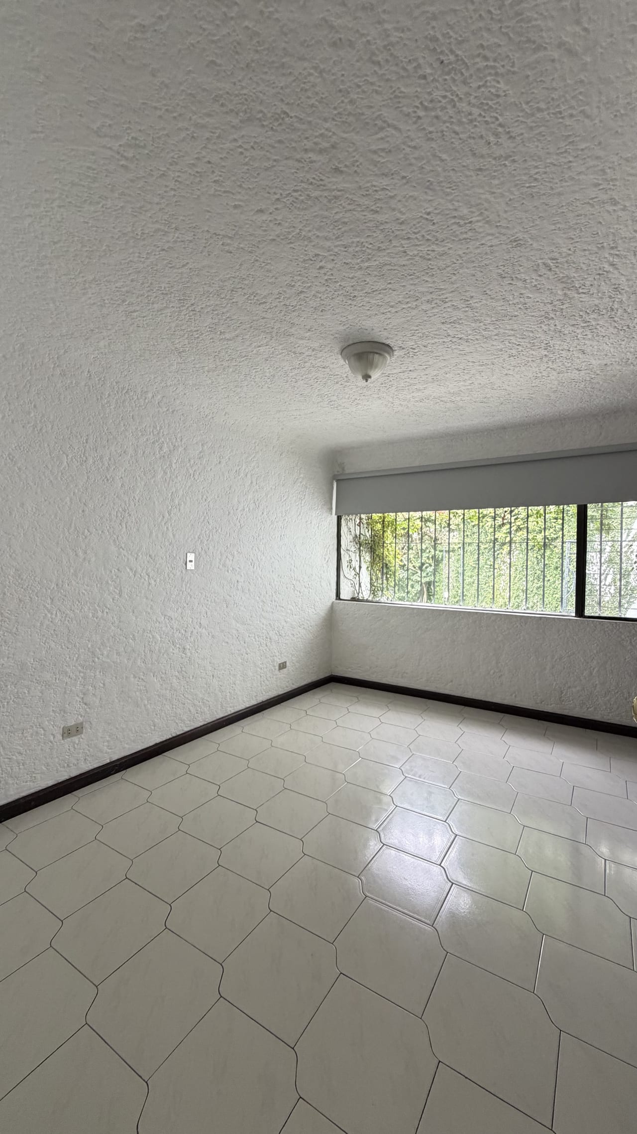 Casa de Un Nivel - Zona 14 — Casa en Alquiler en Zona 14, Guatemala, Ciudad — foto 9 de 14