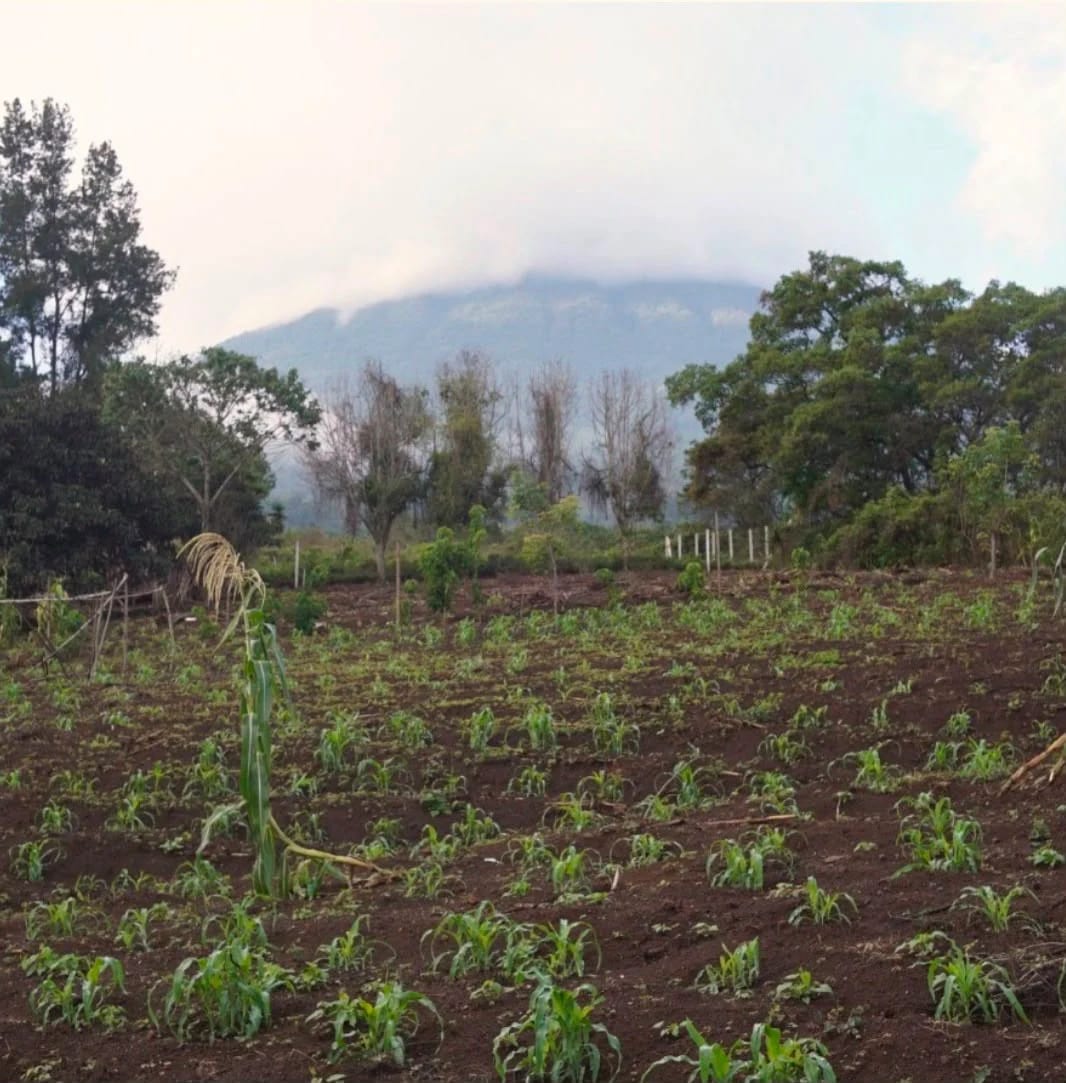 Vendo Terreno Individual o con Casa a 20 Min. de Antigua Guatemala — Terreno en Venta en Ciudad Vieja, Sacatepéquez — foto 2 de 7