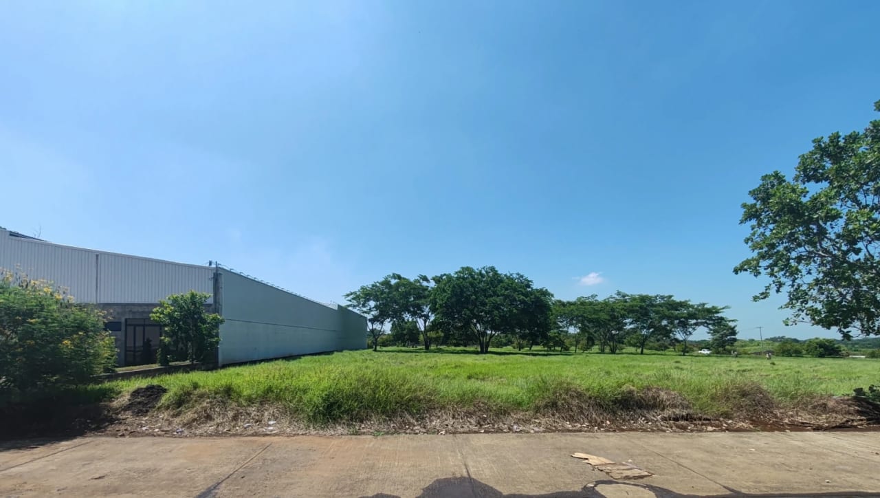Alquilo Terreno Dentro de Parque Industrial Tecnopark — Bodega / Ofibodega en Alquiler en Escuintla, Escuintla — foto 4 de 4