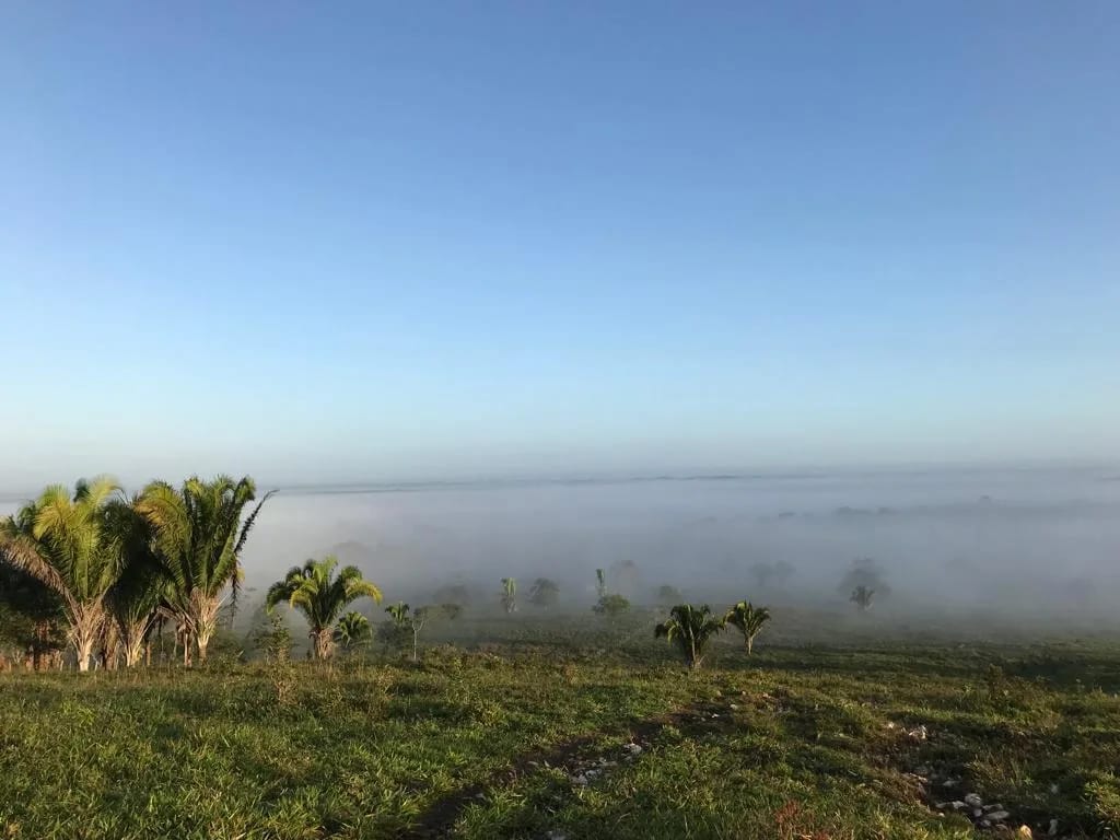Finca de 4,876 manzanas en Venta en Petén — Finca en Venta en Sayaxché, Petén — foto 1 de 9