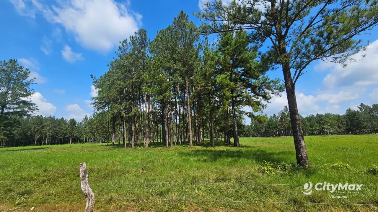 Finca de 4,876 manzanas en Venta en Petén — Finca en Venta en Sayaxché, Petén — foto 3 de 9