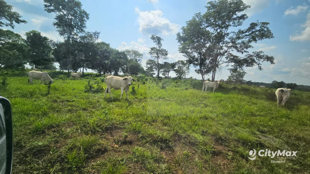 Finca de 4,876 manzanas en Venta en Petén — Finca en Venta en Sayaxché, Petén — foto 4 de 9