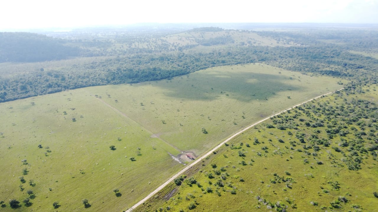 Finca de 4,876 manzanas en Venta en Petén — Finca en Venta en Sayaxché, Petén — foto 8 de 9