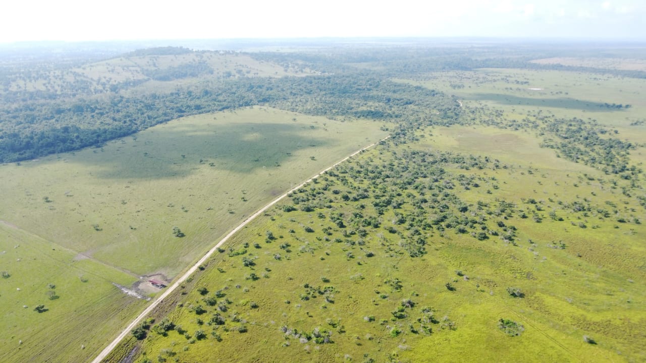 Finca de 4,876 manzanas en Venta en Petén — Finca en Venta en Sayaxché, Petén — foto 7 de 9