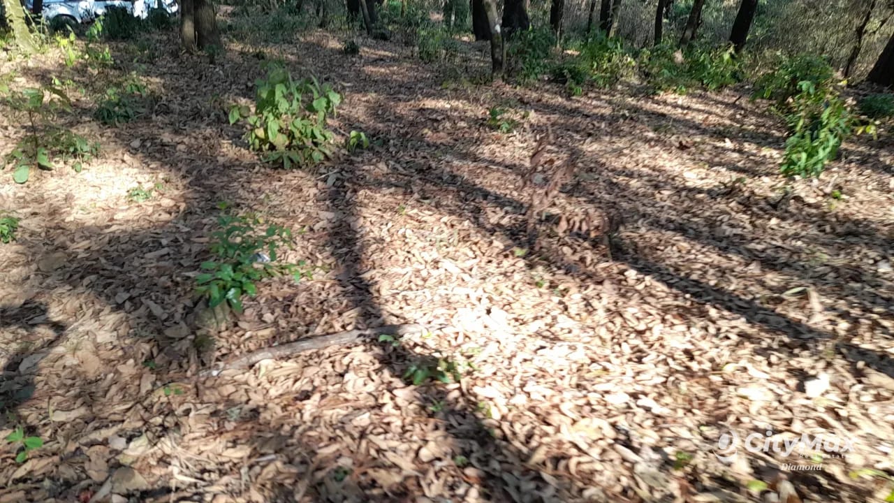 Terreno en Venta en El Encinal Zona 7 Mixco — Terreno en Venta en Zona 7 Mixco, Guatemala, Ciudad — foto 2 de 8