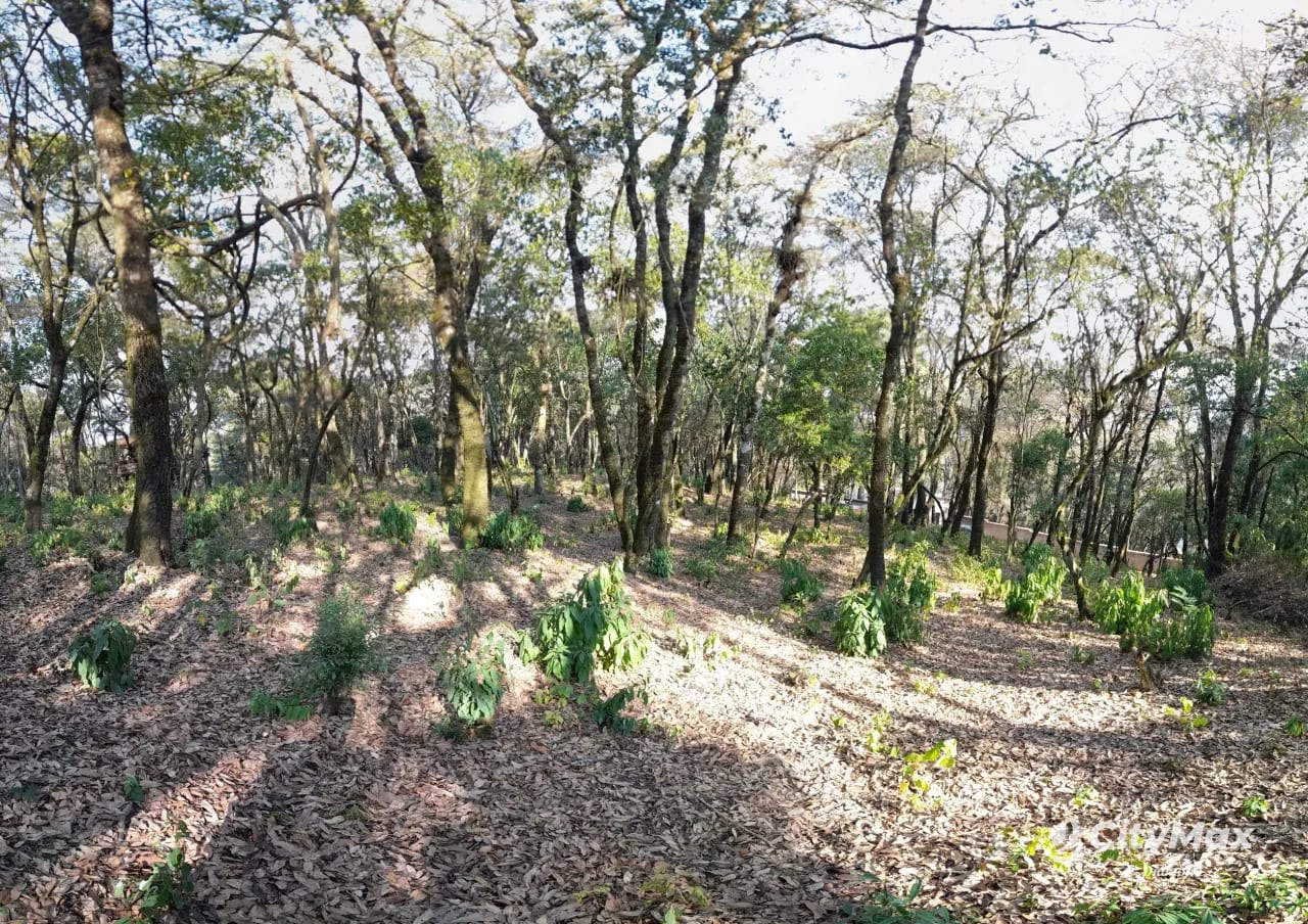 Terreno en Venta en El Encinal Zona 7 Mixco — Terreno en Venta en Zona 7 Mixco, Guatemala, Ciudad — foto 1 de 8