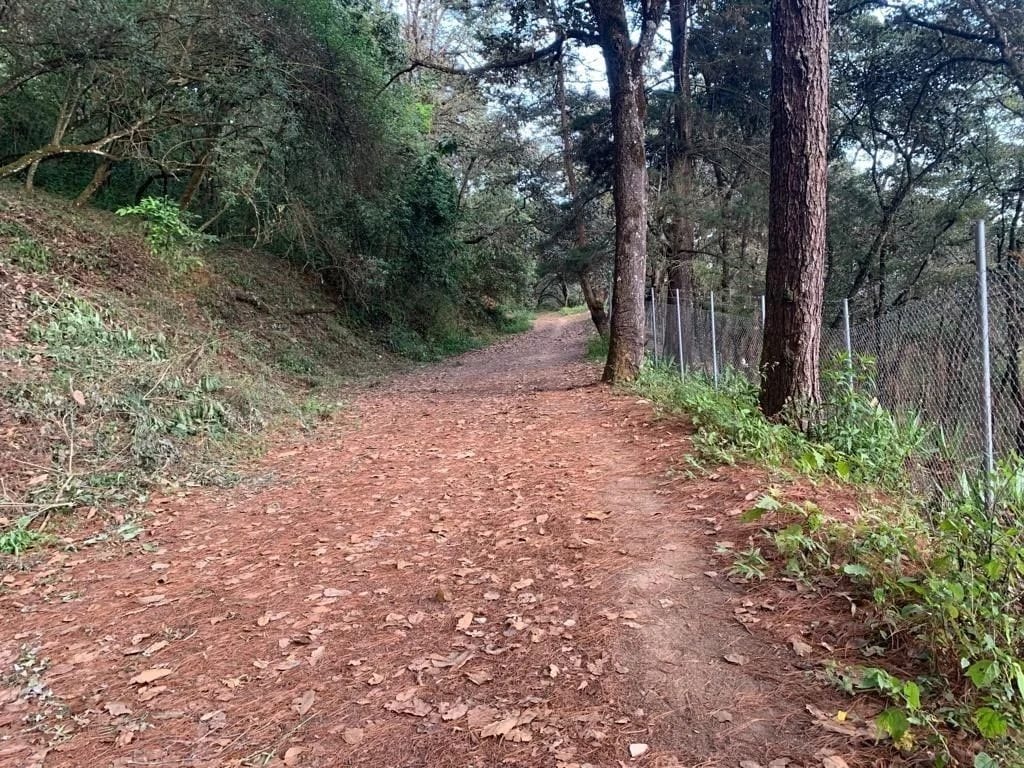 El Encinal - Terreno en venta — Terreno en Venta en Zona 7 Mixco, Guatemala, Ciudad — foto 7 de 7