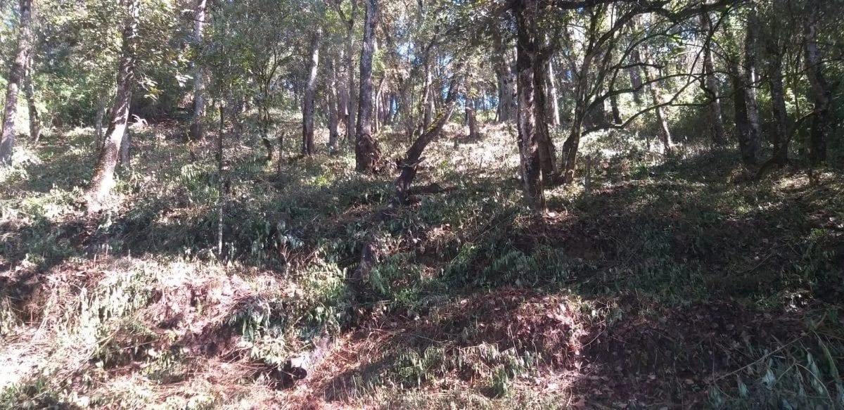 El Encinal - Terreno en venta — Terreno en Venta en Zona 7 Mixco, Guatemala, Ciudad — foto 1 de 7