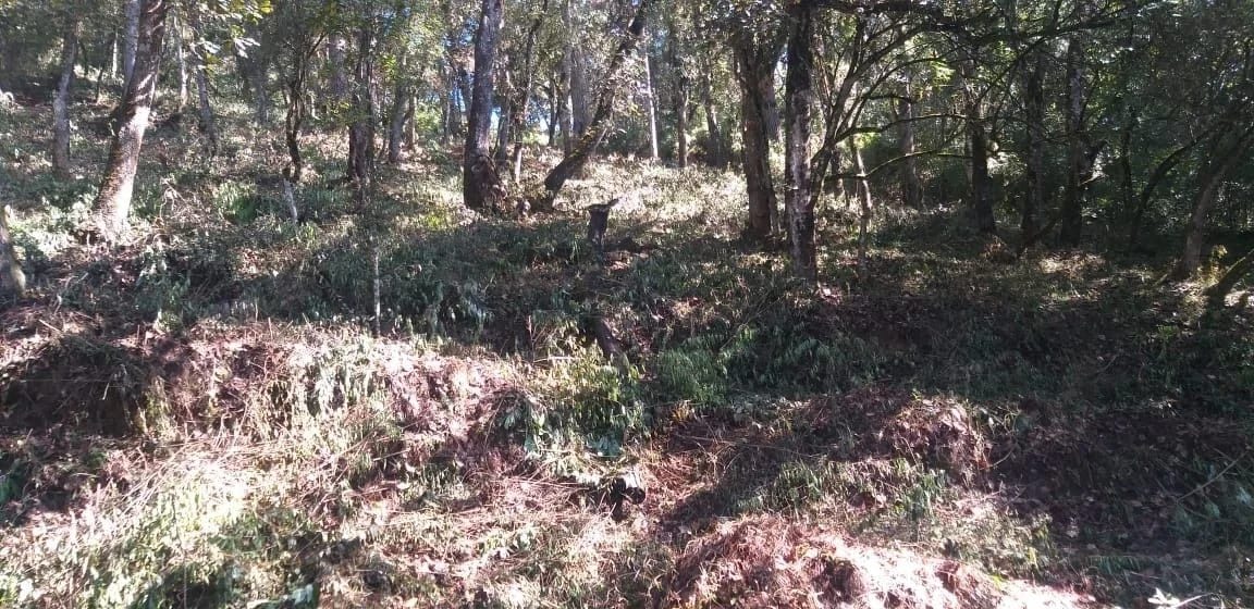 El Encinal - Terreno en venta — Terreno en Venta en Zona 7 Mixco, Guatemala, Ciudad — foto 2 de 7