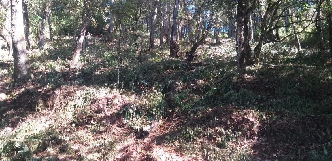 El Encinal - Terreno en venta — Terreno en Venta en Zona 7 Mixco, Guatemala, Ciudad — foto 3 de 7