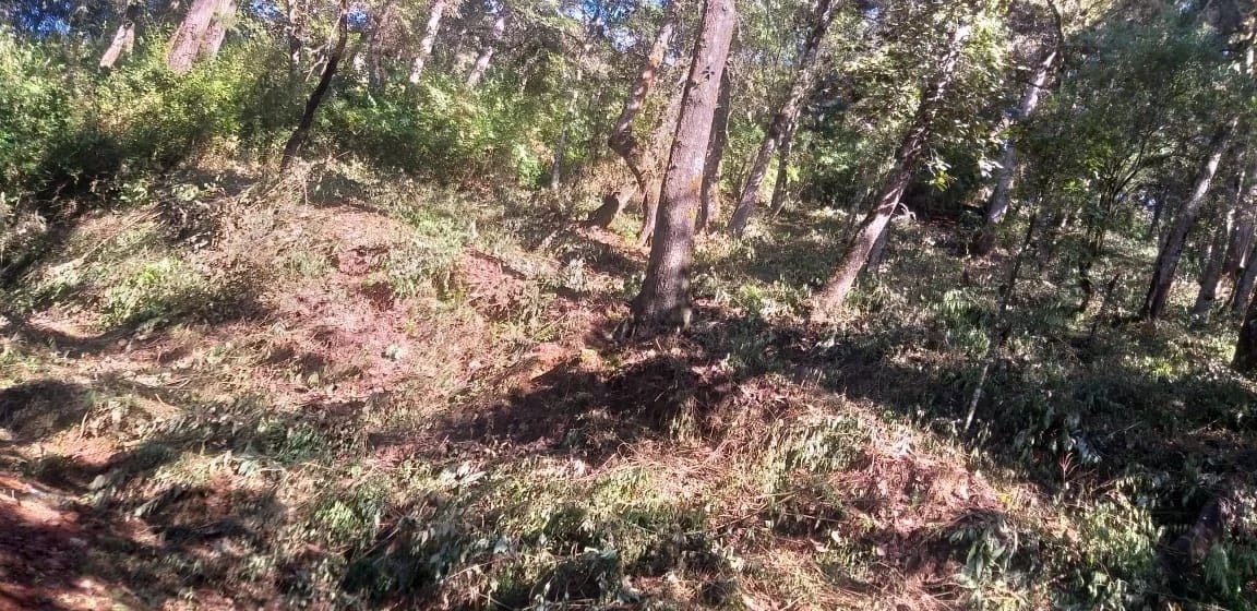 El Encinal - Terreno en venta — Terreno en Venta en Zona 7 Mixco, Guatemala, Ciudad — foto 4 de 7