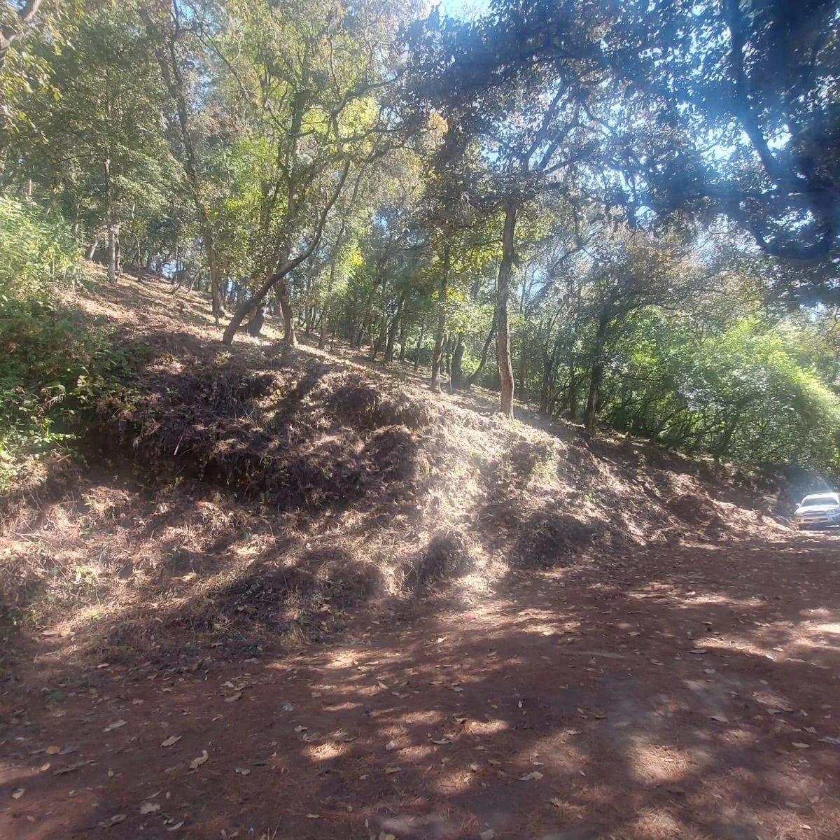 El Encinal - Terreno en venta — Terreno en Venta en Zona 7 Mixco, Guatemala, Ciudad — foto 6 de 7