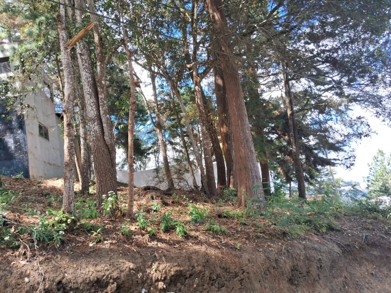 Terreno en venta - San Pedro Sacatepequez — Terreno en Venta en San Pedro Sacatepéquez, Sacatepéquez — foto 4 de 4