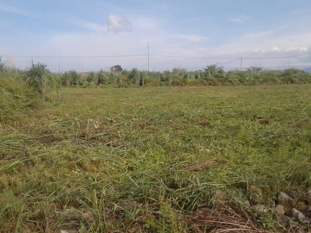 Terrenos en Venta en Quintas La Ponderosa — Terreno en Venta en Puerto Quetzal, Escuintla — foto 2 de 5
