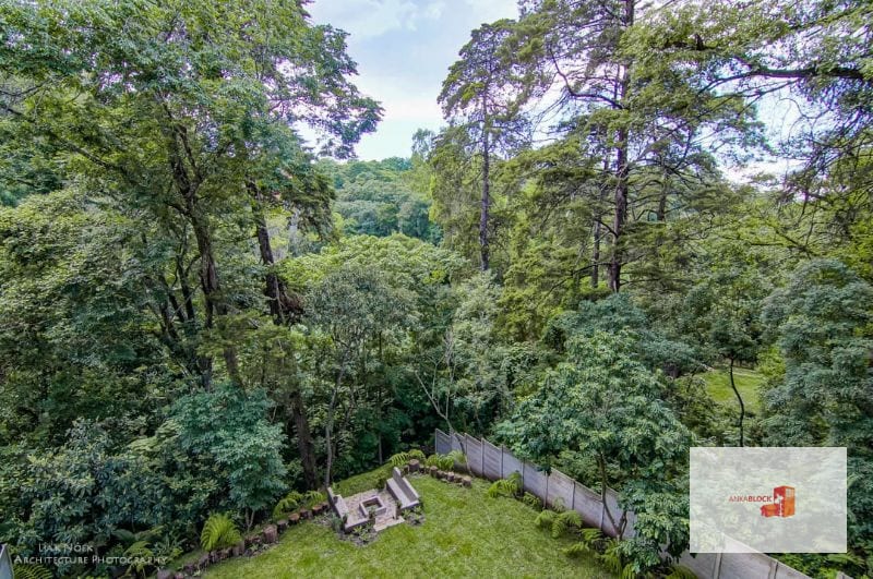Apartamento en el bosque de Oakland - Miniatura 3