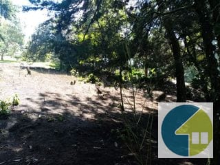 Terreno en Venta en Carretera a Santa Elena Barillas -- TDV2030 — Terreno en Venta en Santa Elena Barillas, Guatemala, Ciudad — miniatura 7 de 11