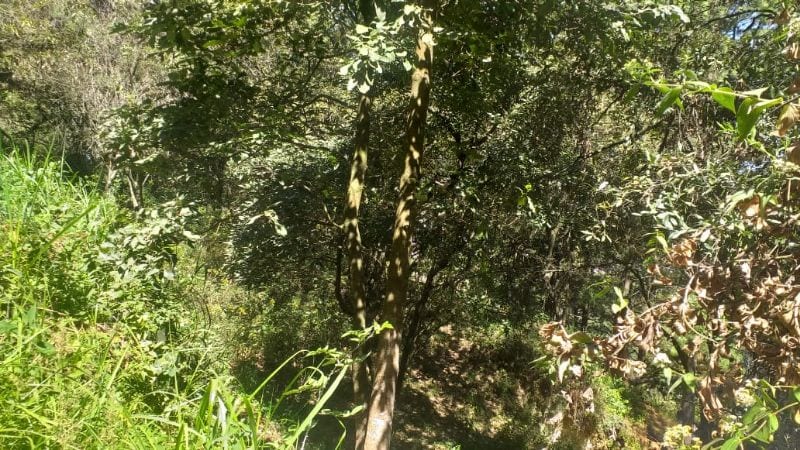 Vendo Terreno, Zona 1 Mixco. — Terreno en Venta en Zona 1 Mixco, Guatemala, Ciudad — foto 1 de 4