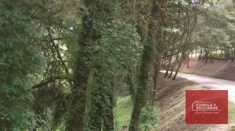 Terreno en venta en Santa Rosalia La Laguna 001TVSTD — Terreno en Venta en Santa Rosalia La Laguna, Carretera a El Salvador, Guatemala, Ciudad — foto 1 de 4