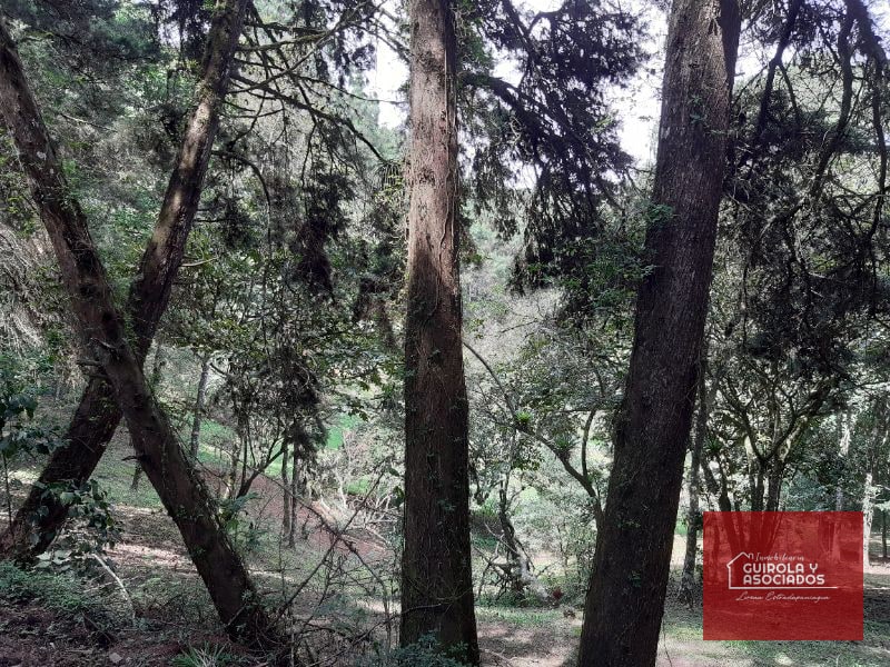 Terreno en venta en Santa Rosalia La Laguna 001TVSTD — Terreno en Venta en Santa Rosalia La Laguna, Carretera a El Salvador, Guatemala, Ciudad — foto 4 de 4
