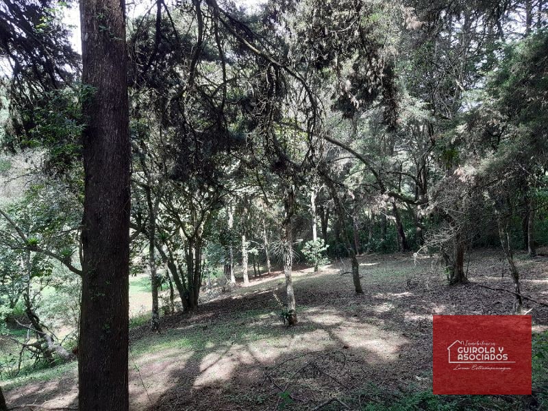 Terreno en venta en Santa Rosalia La Laguna 001TVSTD — Terreno en Venta en Santa Rosalia La Laguna, Carretera a El Salvador, Guatemala, Ciudad — foto 3 de 4