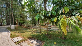 VENTA TERRENO EN STA ELENA DEL LAGO — Terreno en Venta en Carretera a El Salvador, Guatemala, Ciudad — miniatura 4 de 13
