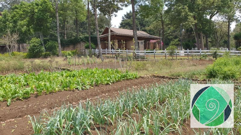VENTA TERRENO EN STA ELENA DEL LAGO — Terreno en Venta en Carretera a El Salvador, Guatemala, Ciudad — foto 12 de 13