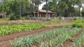VENTA TERRENO EN STA ELENA DEL LAGO — Terreno en Venta en Carretera a El Salvador, Guatemala, Ciudad — miniatura 12 de 13