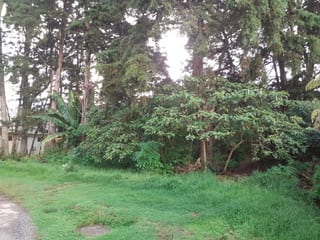 LINDO TERRENO KM 16 CARRETERA SALVADOR EN VENTA — Terreno en Venta en km 11-15, Carretera a El Salvador, Guatemala, Ciudad — miniatura 1 de 2