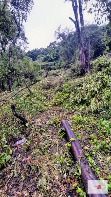 Venta de Terreno en El Encinal Tronco 8 - Mixco Guate — Terreno en Venta en Zona 7 Mixco, Guatemala, Ciudad — foto 5 de 11