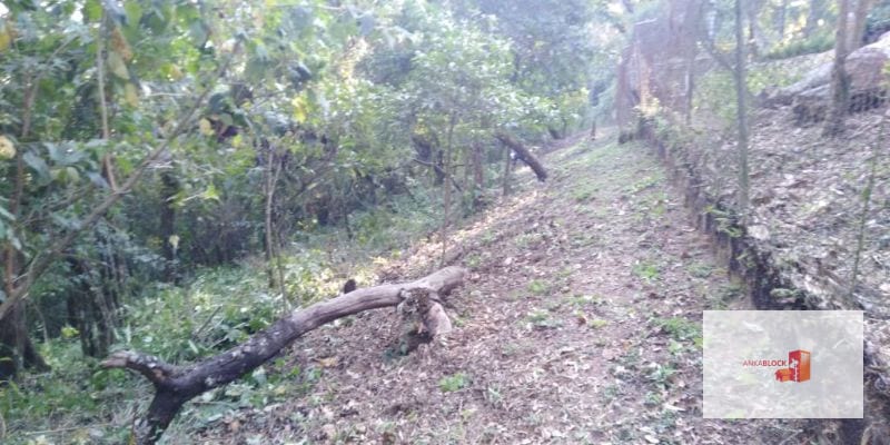 Venta Terreno El Encinal Mixco - Tronco 7  — Terreno en Venta en El Encinal, Zona 7 Mixco, Guatemala, Ciudad — foto 11 de 11
