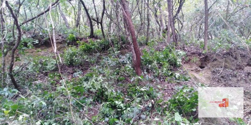 Venta Terreno El Encinal Mixco - Tronco 7 — Terreno en Venta en El Encinal, Zona 7 Mixco, Guatemala, Ciudad — foto 4 de 11
