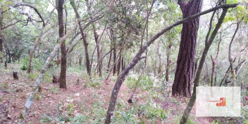 Venta Terreno El Encinal Mixco - Tronco 7 — Terreno en Venta en El Encinal, Zona 7 Mixco, Guatemala, Ciudad — foto 1 de 11
